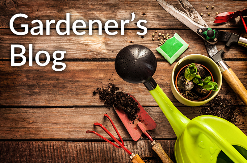 Gardener's Blog