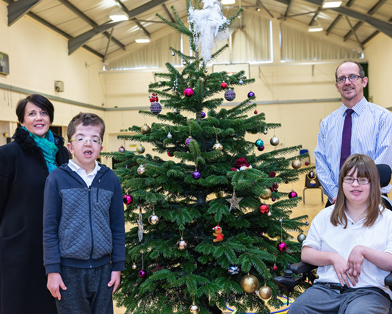 donated christmas tree by compton acres for victoria education centre