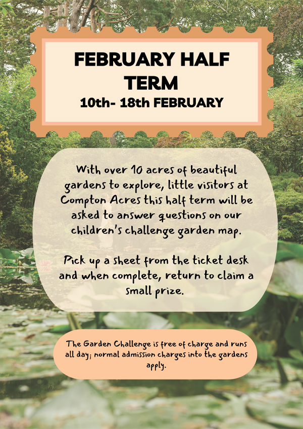 February Half Term Childrens Activities & Competition